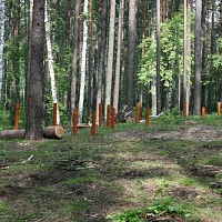 Проект