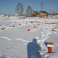 Проект