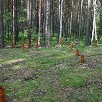 Проект
